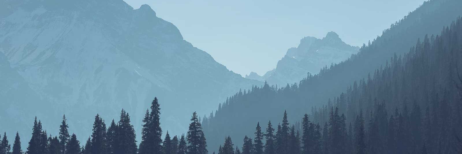 مدونة اميره نادر